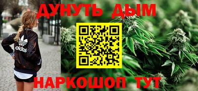 прущие грибы Бийск