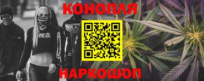 прущие грибы Бийск