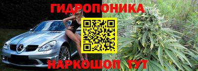 прущие грибы Бийск