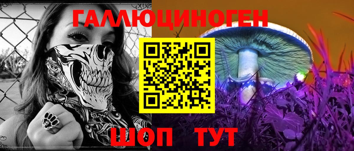 Галлюциногенные грибы GOLDEN TEACHER Камышлов