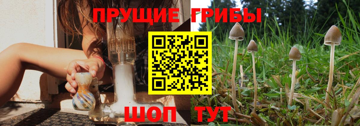 Псилоцибиновые грибы мухоморы  Вход с VPN  продажа наркотиков  Камышлов  Псилоцибиновые грибы Magic Shrooms 